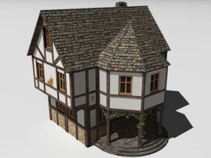 old house 3D Model