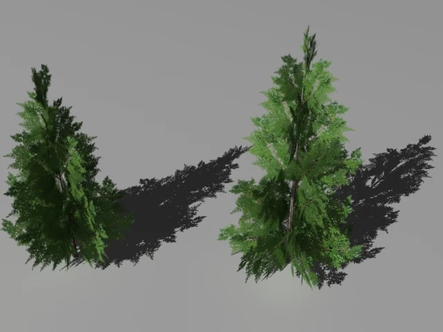 2 thuya trees 3D Model .c4d .max .obj .3ds .fbx .stl .blend 