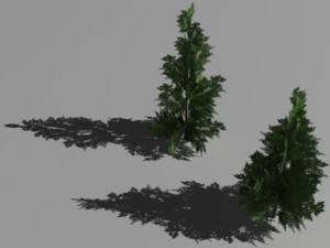 2 thuya trees 3Dモデル