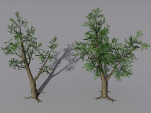2 trees Modèle 3D