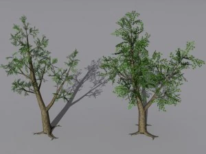 2 arboles Modelo 3D