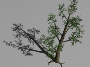 2 trees Modèle 3D