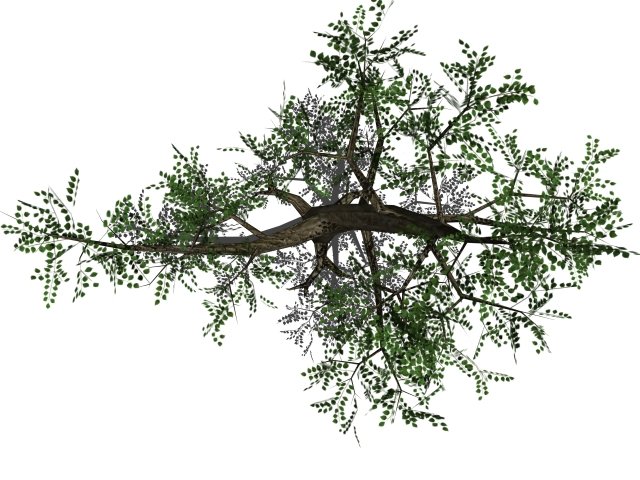 Tree 3 число. Числовое дерево. Деревья для моделирования. 2 3 trees. Вставка в 2-3 дерево.