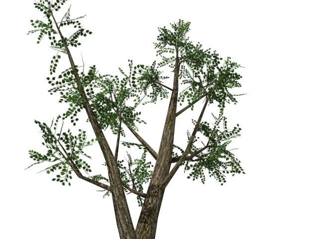 3д модель support "tree". 2-3 дерево. Черное дерево для 3 д макс. 2 3 trees. Примеры деревьев.