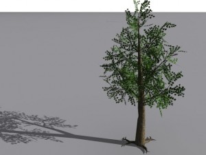 2 trees Modèle 3D
