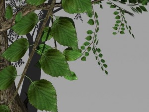 2 trees Modèle 3D