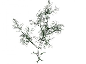 2 trees Modèle 3D
