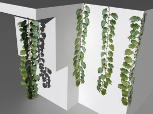 bushes and shrubs collection 3D Model