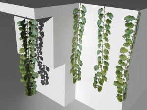 bushes and shrubs collection 3D Model