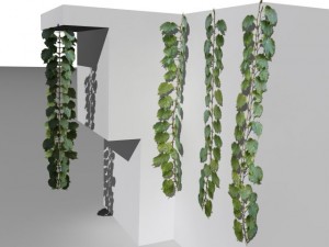 bushes and shrubs collection 3D Model