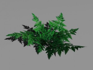 bushes and shrubs collection 3D Model