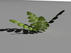 bushes and shrubs collection 3D Model