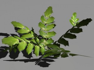 bushes and shrubs collection 3D Model