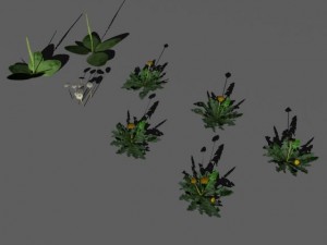 bushes and shrubs collection 3D Model