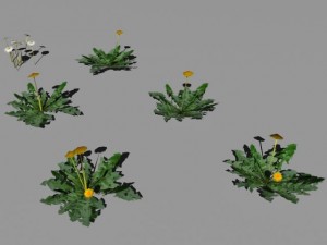 bushes and shrubs collection 3D Model