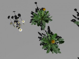 bushes and shrubs collection 3D Model