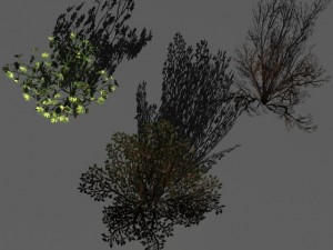 bushes and shrubs collection 3D Model