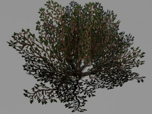 bushes and shrubs collection 3D Model