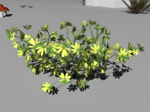 bushes and shrubs collection 3D Model
