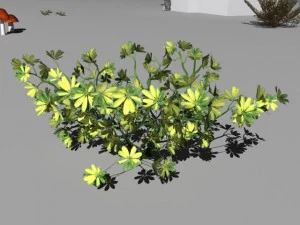 bushes and shrubs collection 3D Model