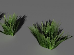 bushes and shrubs collection 3D Model