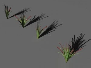 bushes and shrubs collection 3D Model