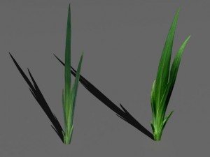 bushes and shrubs collection 3D Model