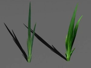 bushes and shrubs collection 3D Model