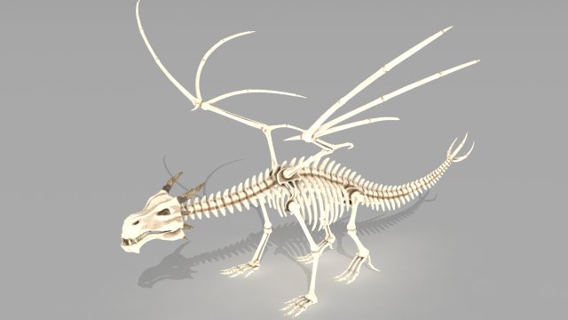 dragon skeleton 3D Model .c4d .max .obj .3ds .fbx .stl .blend 