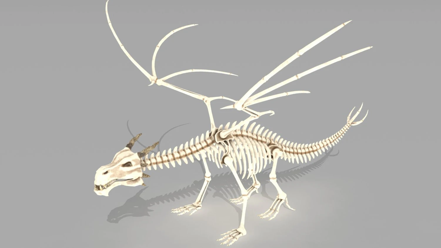 squelette de dragon Modèle 3D .c4d .max .obj .3ds .fbx .stl .blend 
