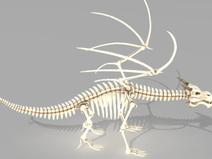 dragon skeleton 3D Model