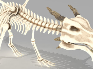 dragon skeleton 3D Model