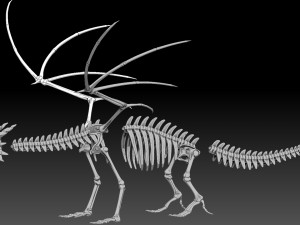 dragon skeleton 3D Model