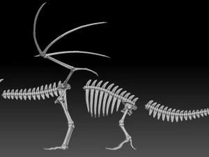 squelette de dragon Modèle 3D