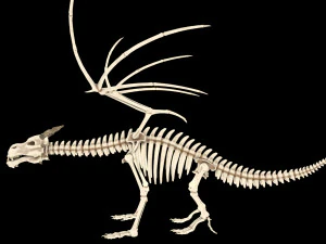 squelette de dragon Modèle 3D