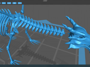 dragon skeleton 3D Model