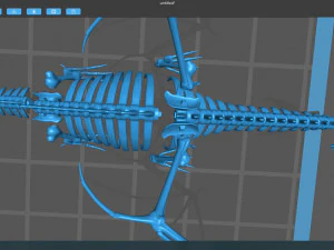 squelette de dragon Modèle 3D