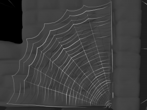 cobweb collection 3D Model