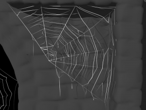 cobweb collection 3D Model