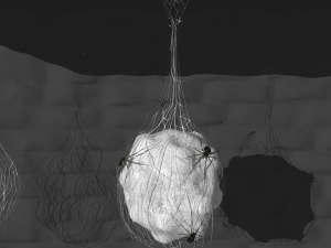cobweb collection 3D Model
