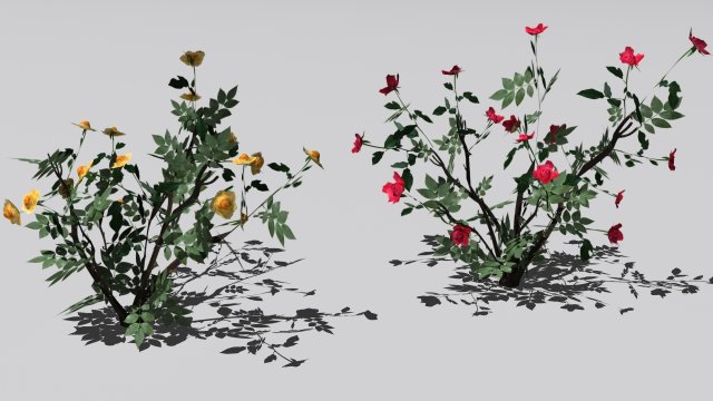 2 rose bush 3D 模型 .c4d .max .obj .3ds .fbx .stl .blend