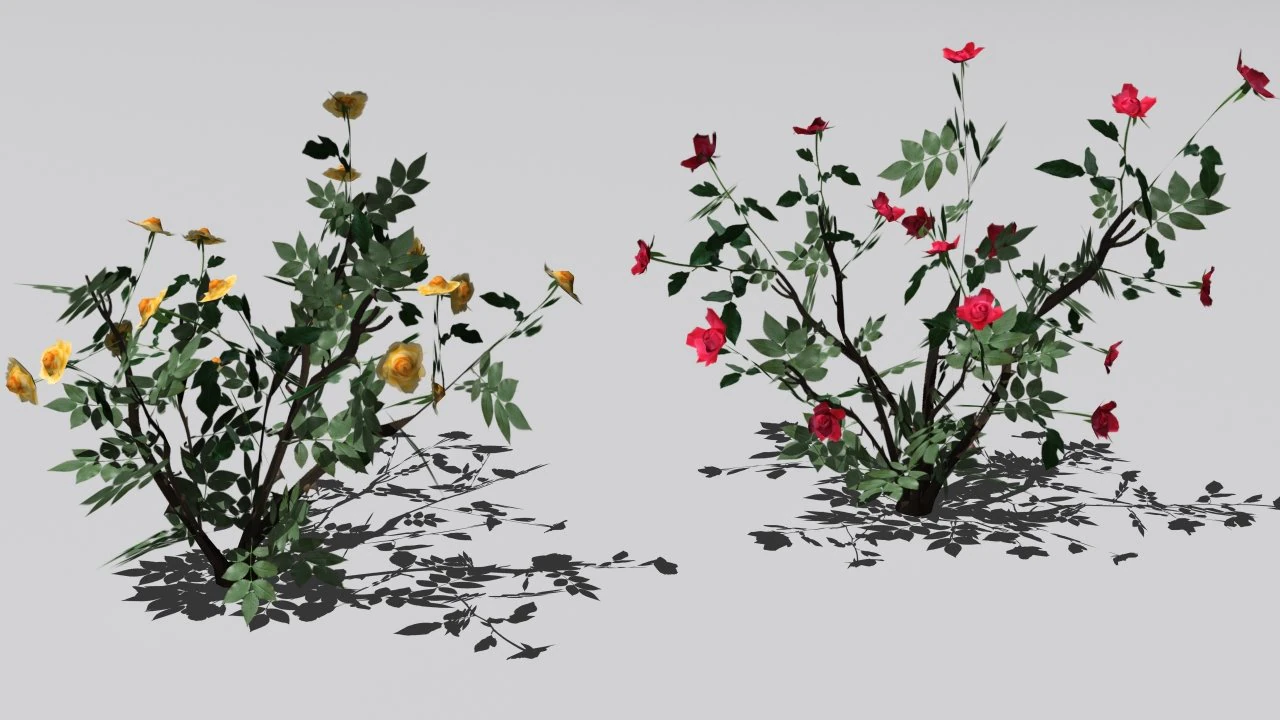 2 куста роз 3D Модель .c4d .max .obj .3ds .fbx .stl .blend 