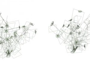 2 куста роз 3D Модель