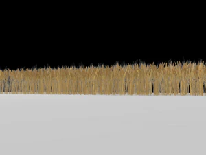 wheat field 3D Model