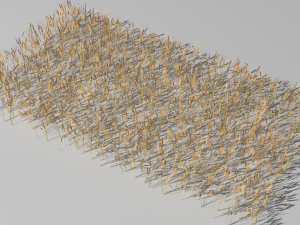 wheat field 3D Модель
