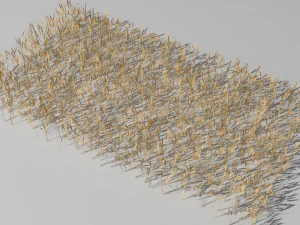 wheat field 3D Model