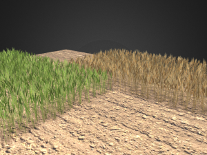 wheat field 3D Модель