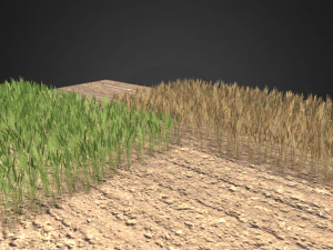 wheat field 3D Model