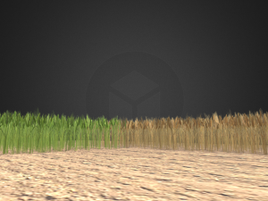 wheat field 3D Модель