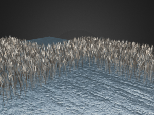 wheat field 3D Модель